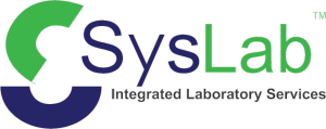Syslab Cloud Reporting Service